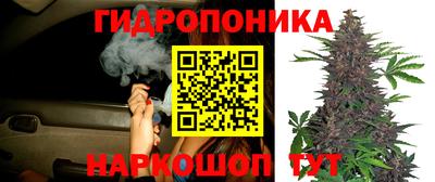 эйфоретик Ликино-Дулёво