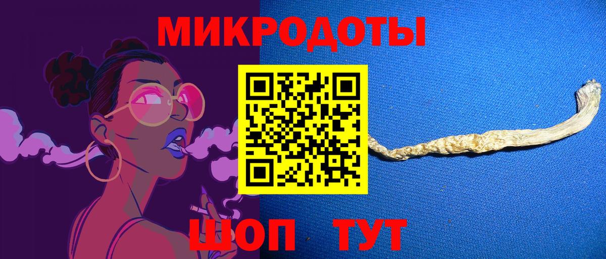 Псилоцибиновые грибы Psilocybe Зеленогорск